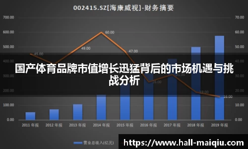 国产体育品牌市值增长迅猛背后的市场机遇与挑战分析